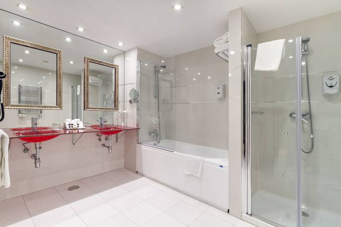 Imagen de la habitación del Hotel Iberik Santo Domingo Plaza. Foto 12