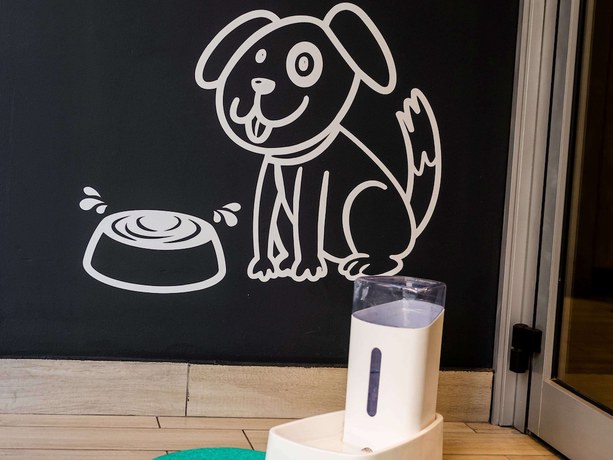 Imagen de los interiores del Hotel Ibis Budget Santiago Providencia. Foto 17