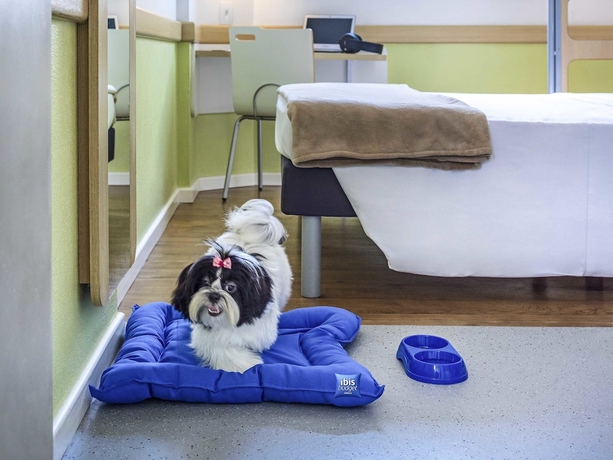 Imagen de la habitación del Hotel Ibis Budget Sao Paulo Jardins. Foto 6