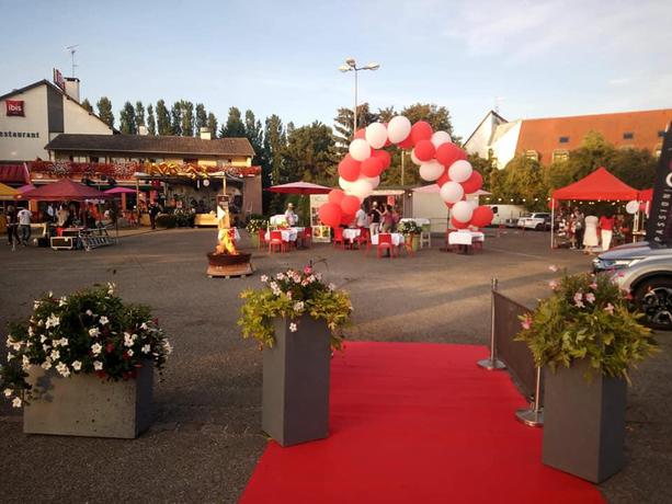 Imagen general del Hotel Ibis Colmar Est. Foto 2