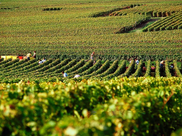 Imagen general del Hotel Ibis Epernay Centre Ville. Foto 3