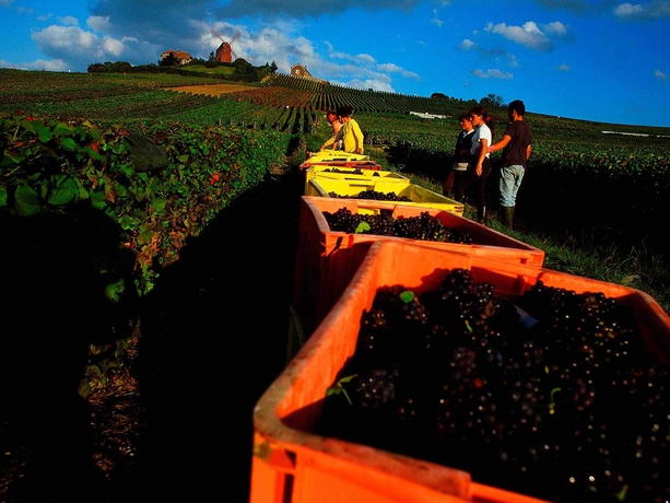 Imagen general del Hotel Ibis Epernay Centre Ville. Foto 4