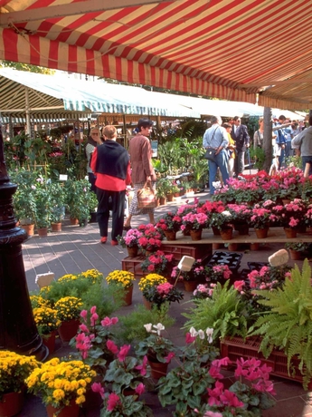 Imagen general del Hotel Ibis Nice Centre Notre Dame. Foto 2