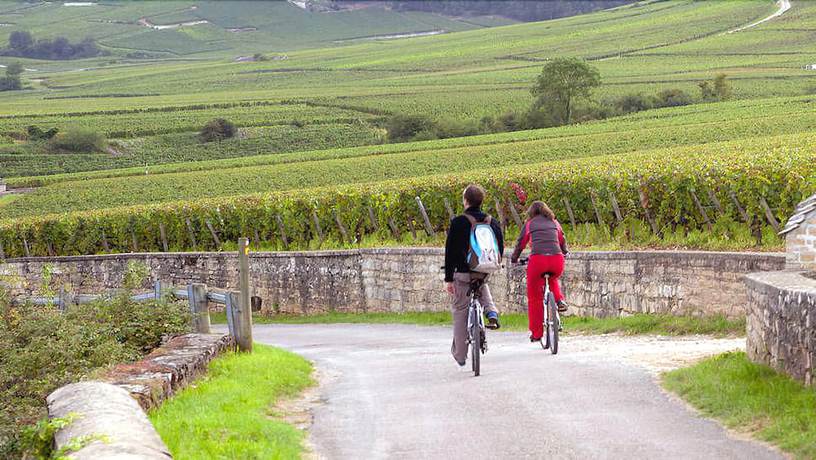 Imagen general del Hotel Ibis Nuits Saint Georges. Foto 2