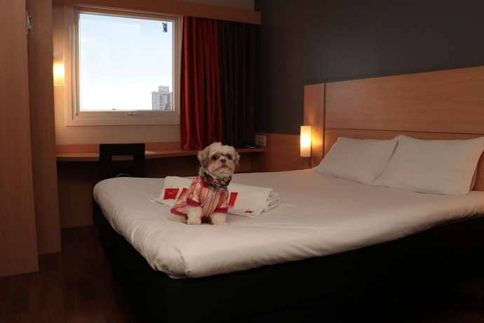 Imagen general del Hotel Ibis Passo Fundo Centro. Foto 1