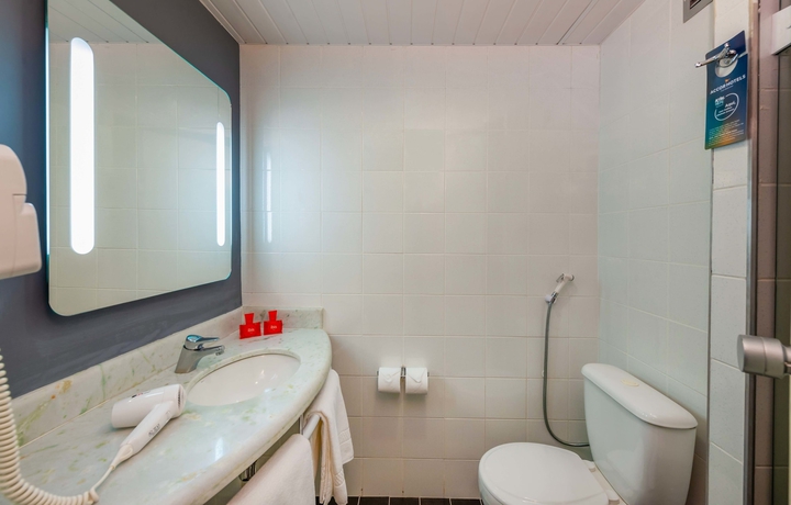 Imagen de la habitación del Hotel Ibis Paulinia. Foto 11