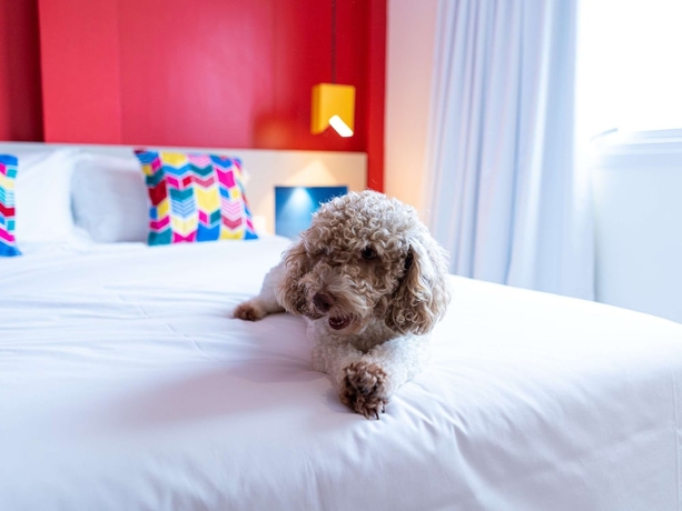 Imagen de la habitación del Hotel Ibis Styles Campina Grande. Foto 3