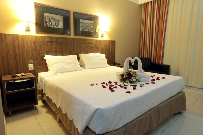 Imagen de la habitación del Hotel Ibis Styles Ribeir&atilde;o Preto Maurilio Biagi. Foto 7
