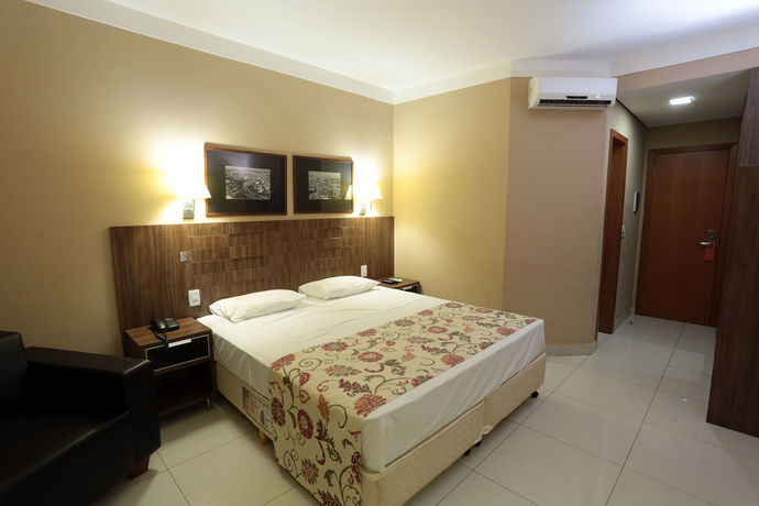 Imagen de la habitación del Hotel Ibis Styles Ribeir&atilde;o Preto Maurilio Biagi. Foto 8