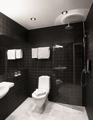 Imagen de la habitación del Hotel Ibis Styles Stockholm Odenplan. Foto 15