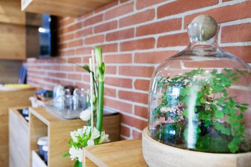 Imagen general del Hotel Ibis Styles Toulouse Lavaur. Foto 7