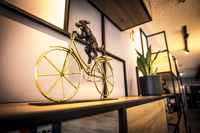 Imagen de los interiores del Hotel Ibis Wels. Foto 20