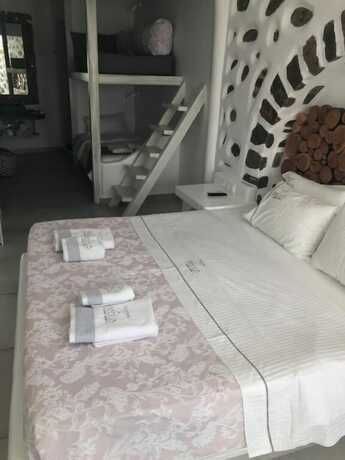 Imagen general del Hotel Ibiscus Boutique. Foto 10
