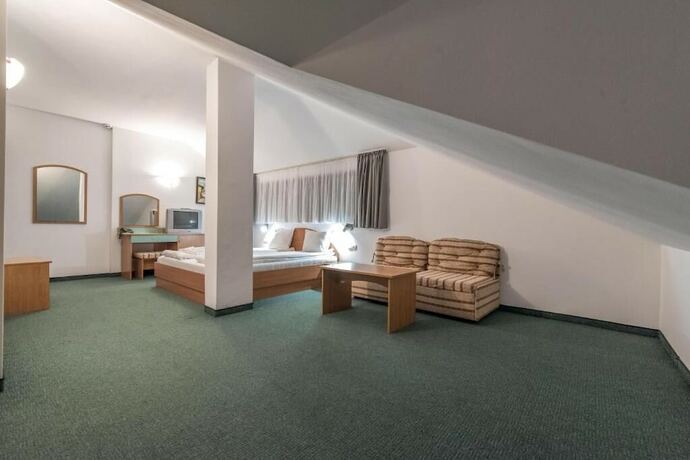 Imagen de la habitación del Hotel Iceberg Bansko. Foto 15