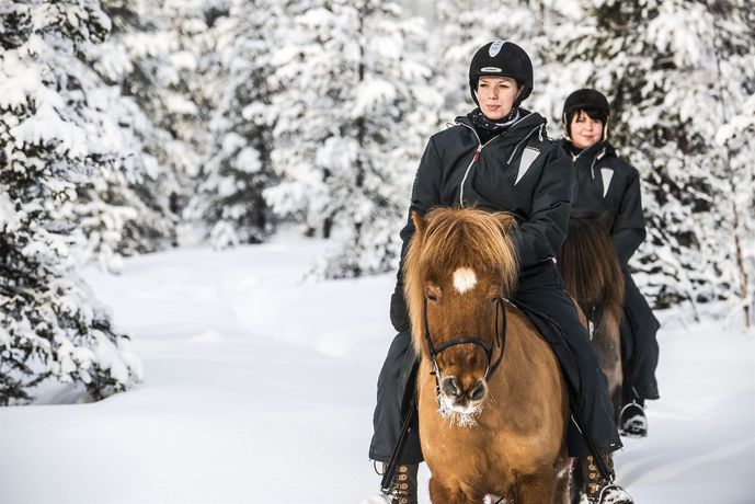 Imagen de la habitación del Hotel Icehotel. Foto 11