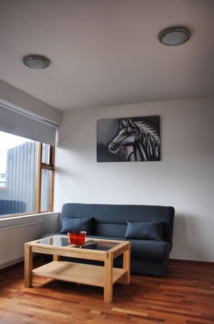 Imagen de los interiores del Hotel Iceland Comfort Apartments. Foto 12
