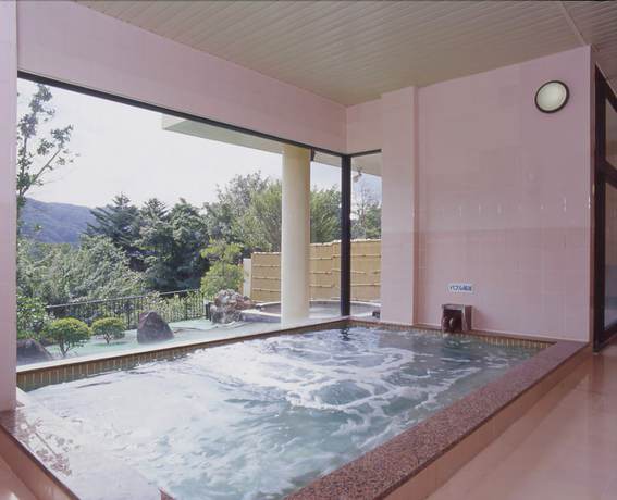 Imagen general del Hotel Ichibou. Foto 6