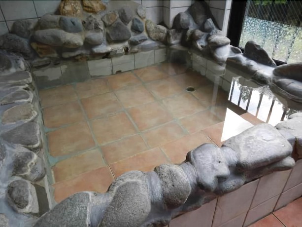 Imagen general del Hotel Ichigekan. Foto 1