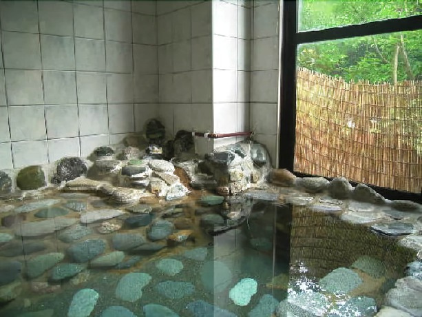 Imagen general del Hotel Ichigekan. Foto 3