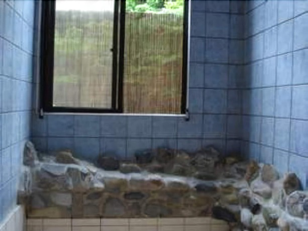 Imagen de la habitación del Hotel Ichigekan. Foto 11