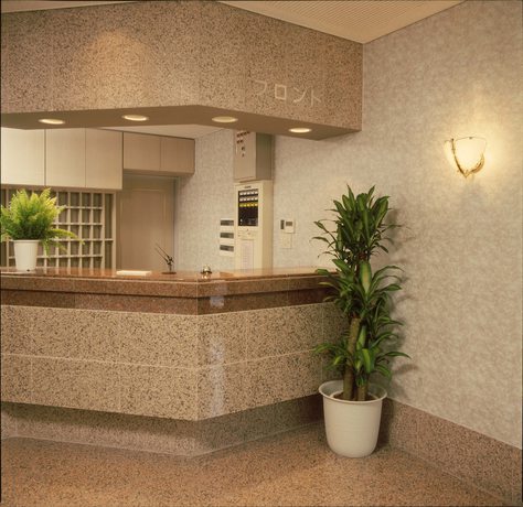 Imagen de los interiores del Hotel Ichimiya Green. Foto 19