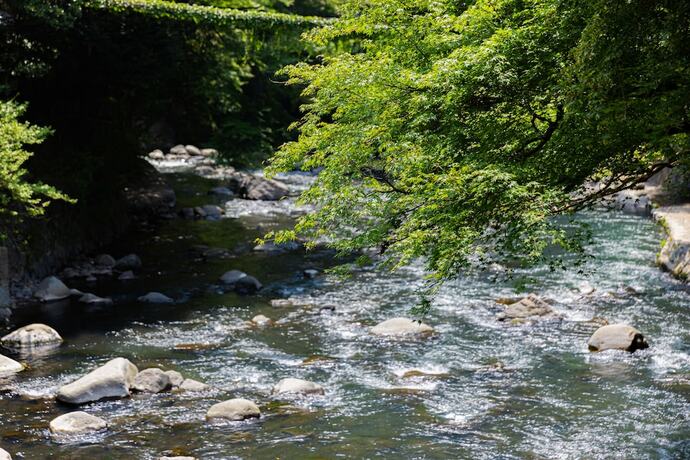 Imagen general del Hotel Ichinoyu Honkan. Foto 10