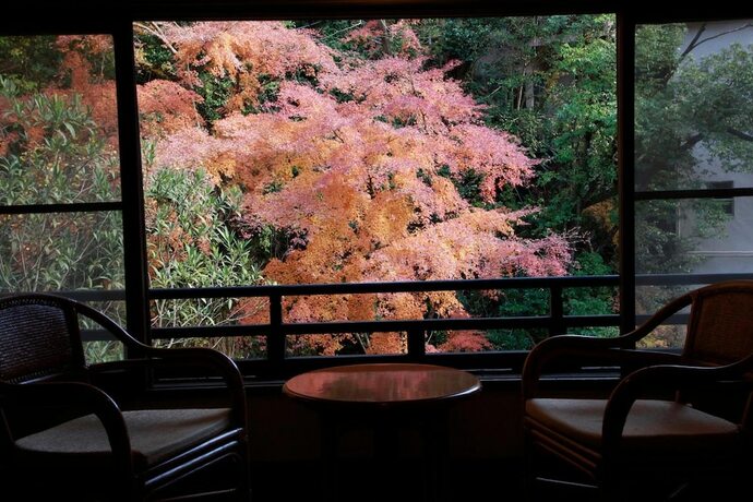 Imagen general del Hotel Ichinoyu Honkan. Foto 17