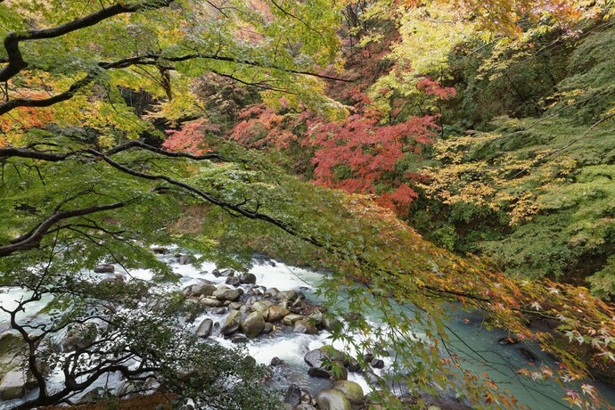 Imagen de la habitación del Hotel Ichinoyu Honkan. Foto 26