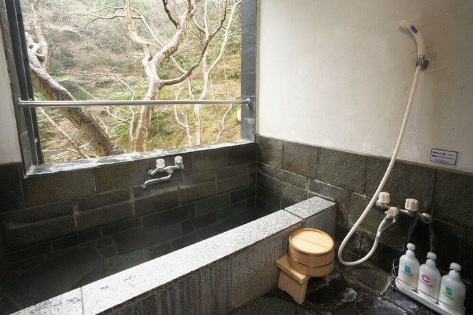 Imagen de la habitación del Hotel Ichinoyu Honkan. Foto 29