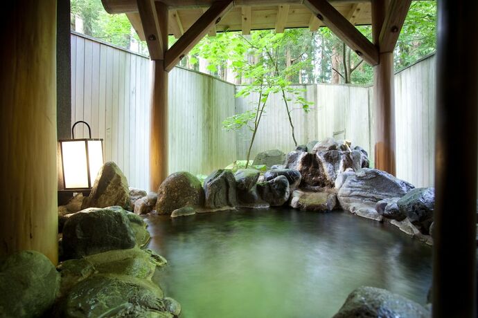 Imagen general del Hotel Ichirino Kogen Roan. Foto 3