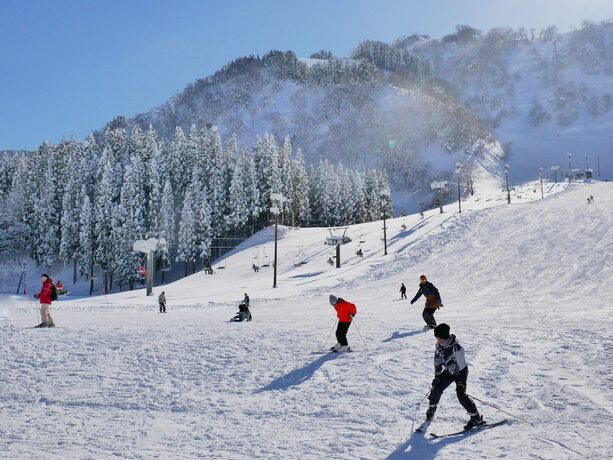 Imagen general del Hotel Ichirino Kogen Roan. Foto 7