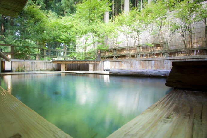 Imagen general del Hotel Ichirino Kogen Roan. Foto 1