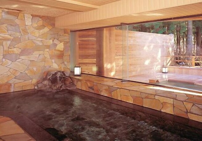 Imagen de la piscina del Hotel Ichirino Kogen Roan. Foto 24