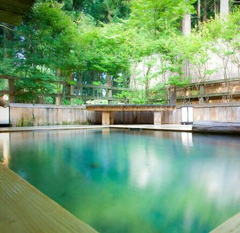 Imagen de la piscina del Hotel Ichirino Kogen Roan. Foto 25