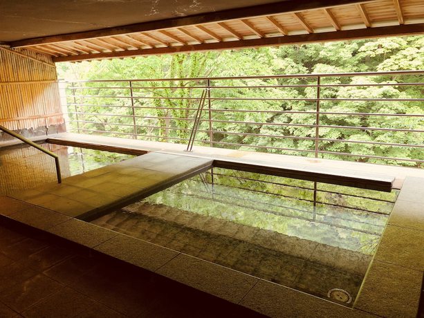 Imagen general del Hotel Ichiyotei. Foto 1