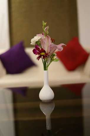 Imagen de los interiores del Hotel Icon Suites By Bhagini. Foto 18