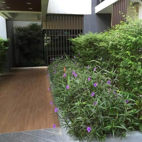 Imagen de los exteriores del Hotel Icondo Ngamwongwan 1a By Tanny. Foto 35
