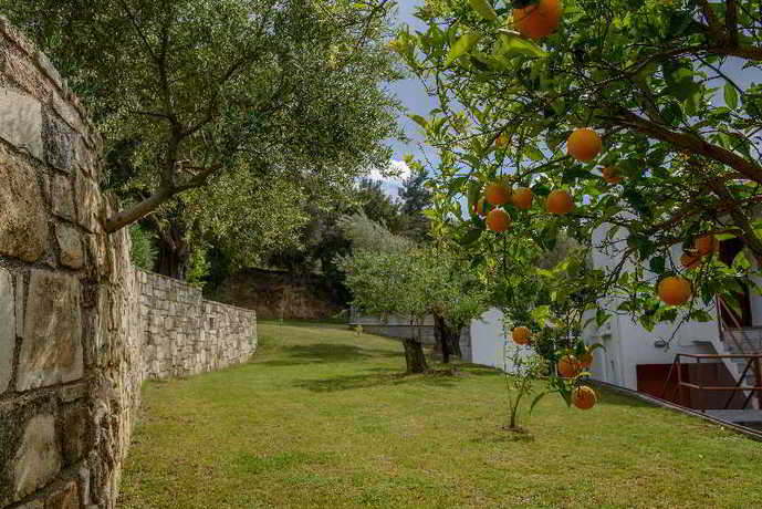 Imagen general del Hotel Idi. Foto 2