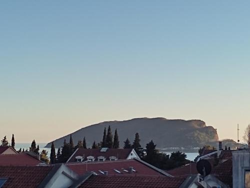 Imagen de la habitación del Hotel Idila Budva. Foto 16