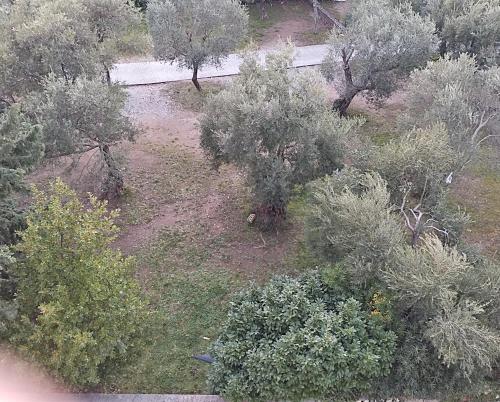 Imagen de la habitación del Hotel Idila Budva. Foto 17