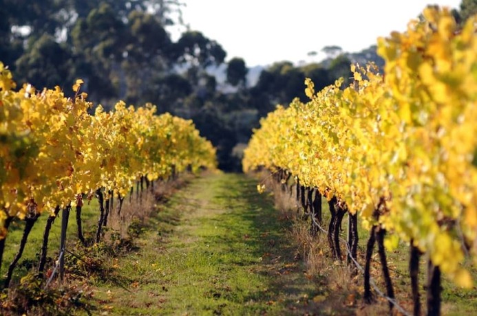 Imagen general del Hotel Idyllic Retreat For 4 People In Beautiful Otway Ranges, Recharge and Refresh In Hot Tub. Foto 5