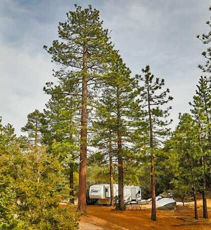 Imagen general del Hotel Idyllwild RV Resort - Caravan Park. Foto 5