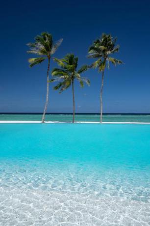 Imagen general del Hotel Ifuru Island Maldives. Foto 4