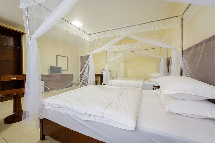 Imagen de la habitación del Hotel Igar Plaza. Foto 17