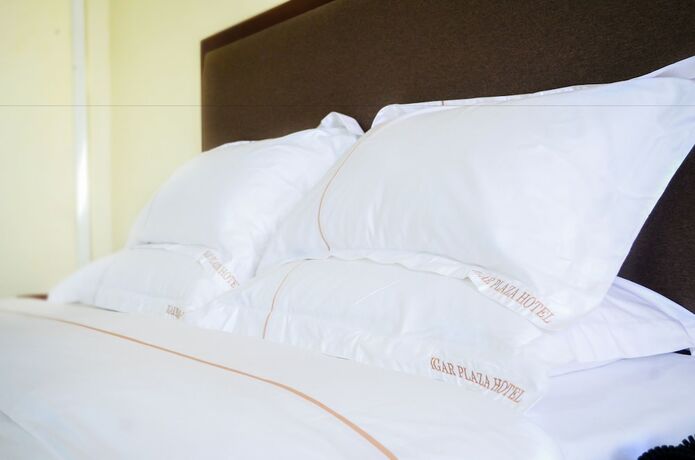 Imagen de la habitación del Hotel Igar Plaza. Foto 18