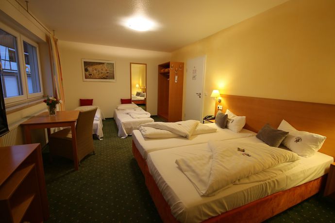 Imagen de la habitación del Hotel Igelwirt. Foto 14