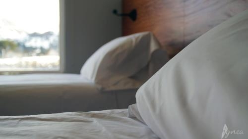 Imagen de la habitación del Hotel Ignea. Foto 6