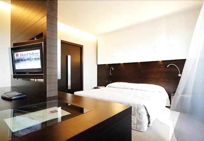 Imagen de la habitación del Hotel Ih Hotels Pomezia Selene. Foto 3