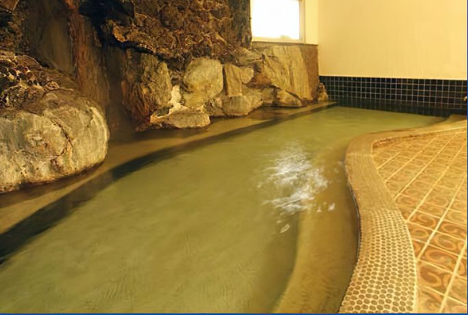 Imagen general del Hotel Ikaho Ginsui. Foto 2