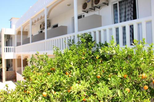 Imagen de la habitación del Hotel Ikaros, Archangelos. Foto 8